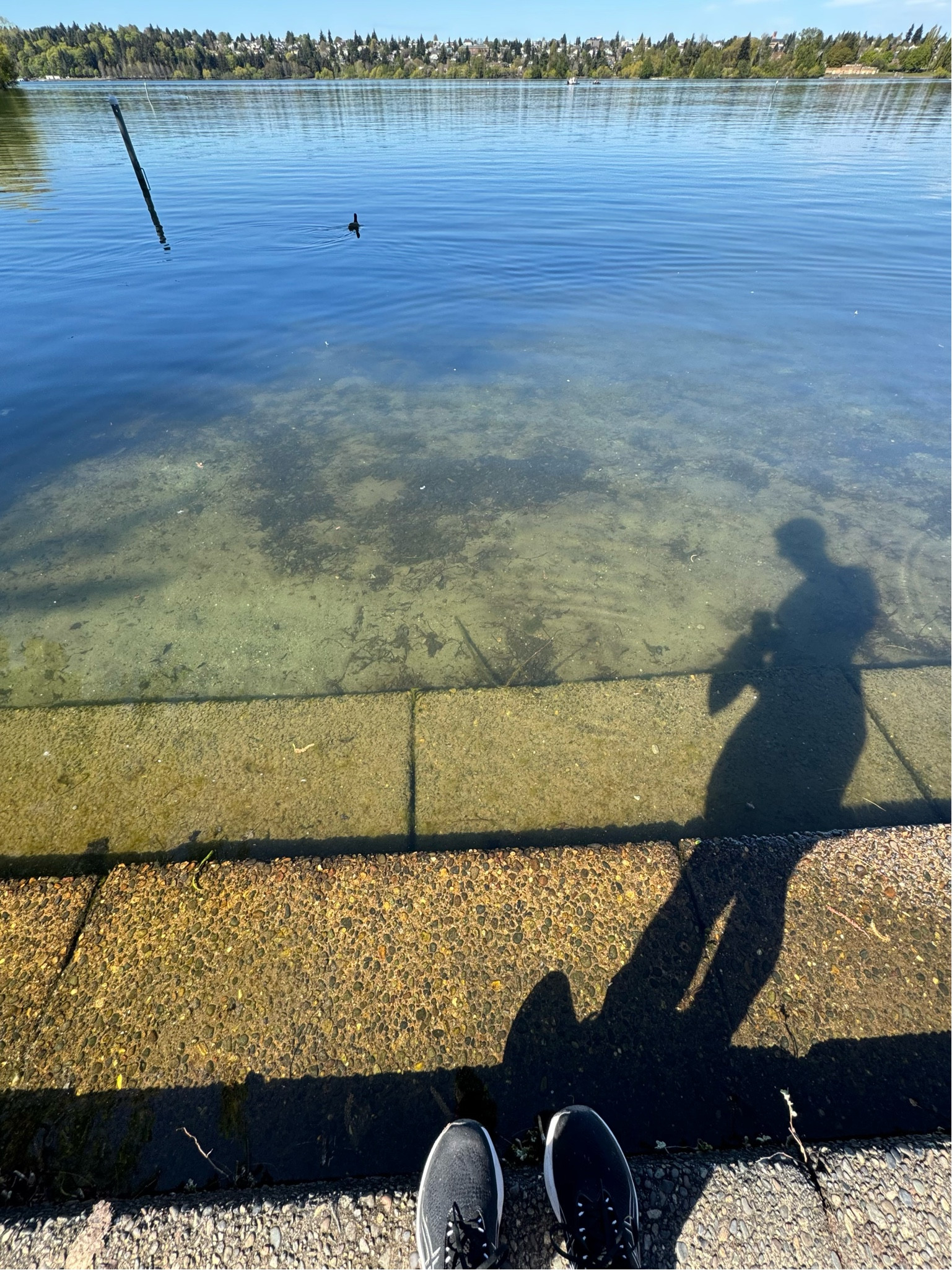 Favorite running gearr