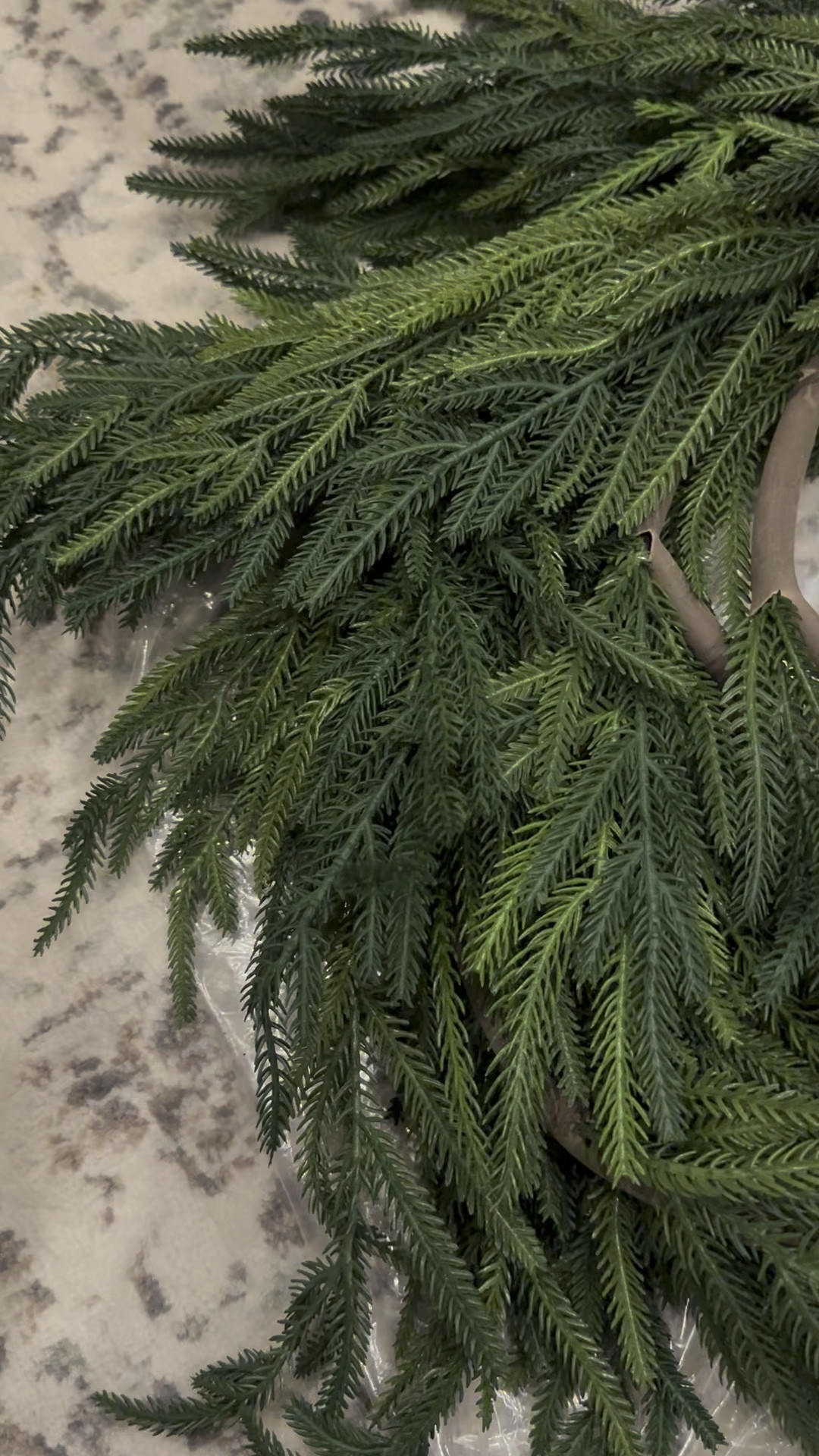 I finally did it! I got the viral Norfolk pine garland and it’s gorgeous! There is still time to get one and I’ve linked mine below 👇🏽 

#christmas #viraltrend #christmasdecor #chriatmasgarland #decor #homedecor #amazon

#LTKstyletip #LTKHoliday #LTKSeasonal