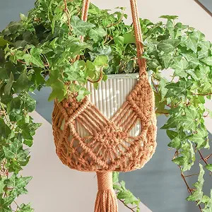 Hanging Planter with Patterns,2Packs Macrame Plant Hangers Indoor Macrame for up to 8 inch Pot Cr... | Amazon (US)