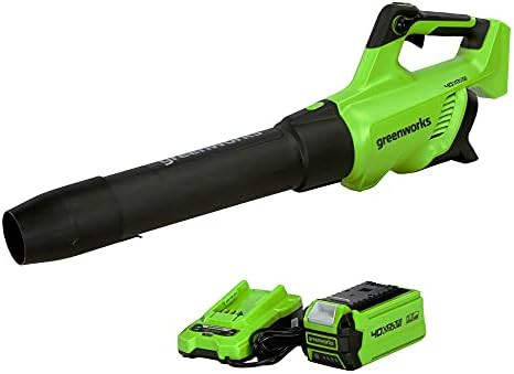 Greenworks 40V (120 MPH / 500 CFM) Leaf Blower, for damp autumn leaves, spring pollen, summer gra... | Amazon (US)