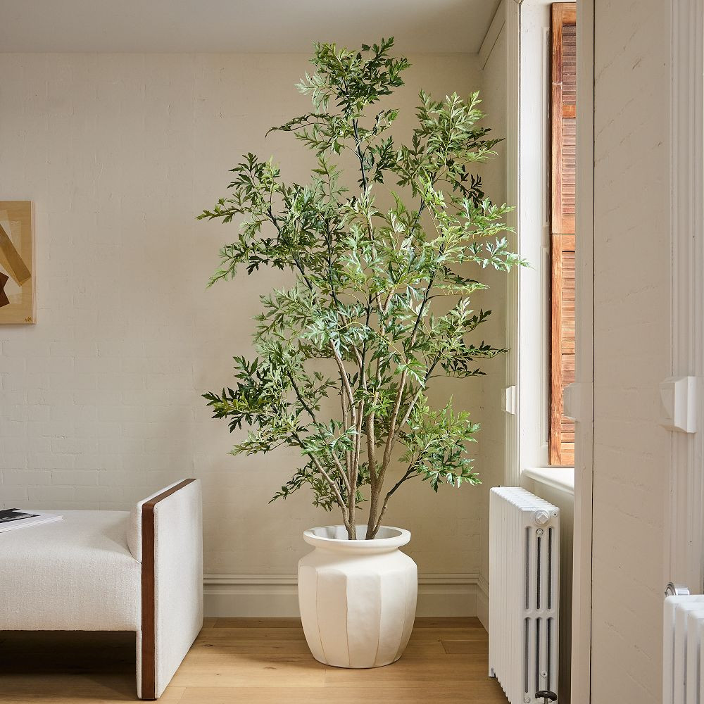 Faux Potted Phoenix Tree | West Elm (US)