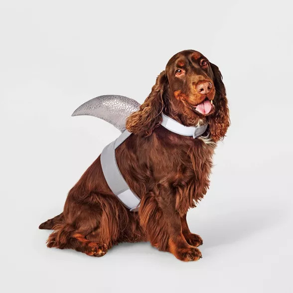 Shark Fin Dog Apparel - Gray - Hyde & EEK! Boutique™ | Target