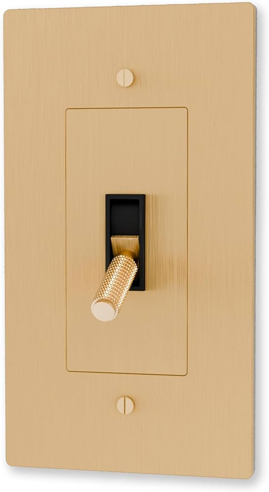 Brass Toggle Dimmer Light Switch – 120 VAC - Retro Light Switch Cover Plate – Polished Antiqu... | Amazon (US)