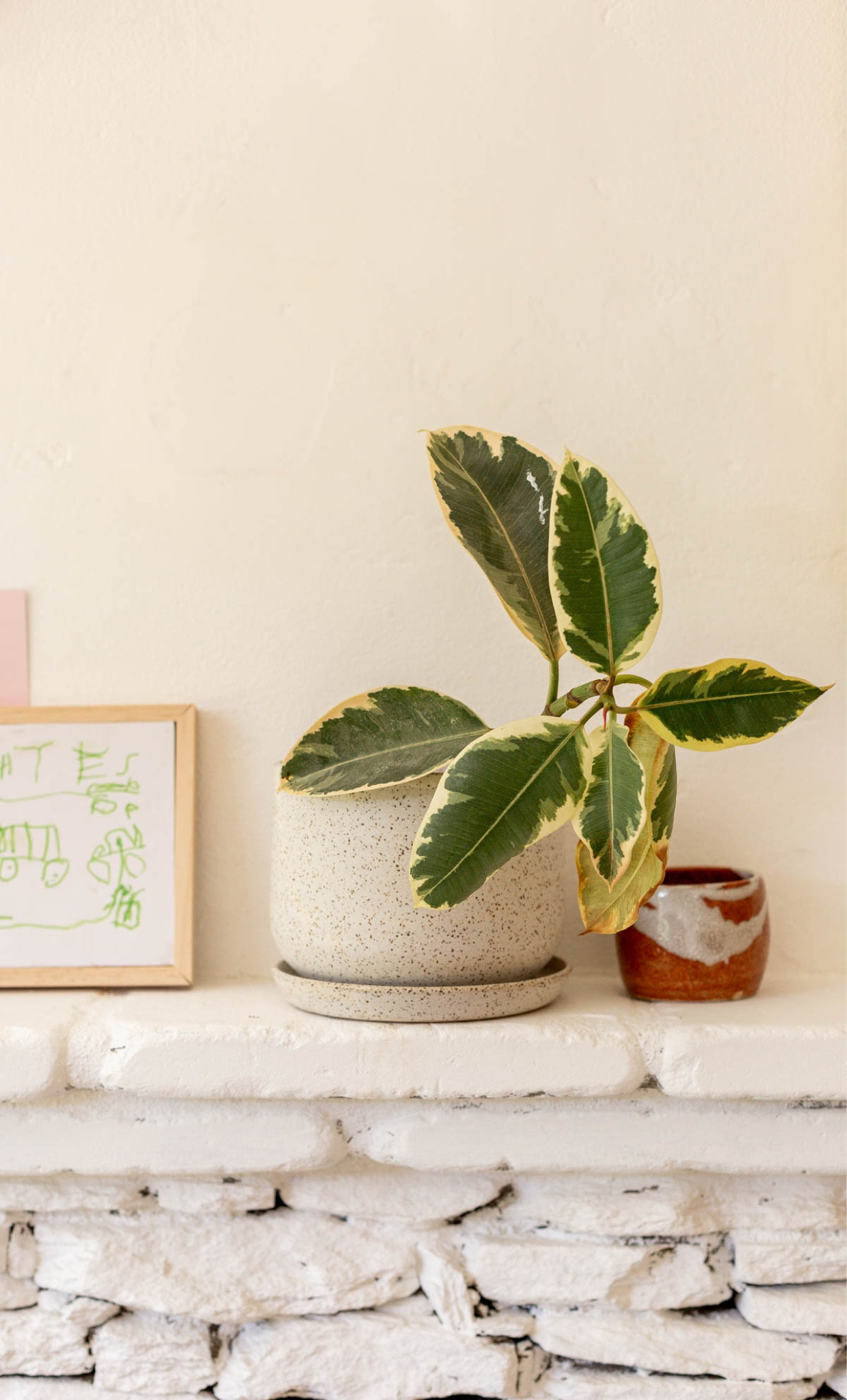 A no-fail gift idea for plant lovers and gardeners….one of these simple modern planters with a plant inside (or seeds for someone who likes to garden). Great option for homebodies and home decor lovers too.

#LTKhome #LTKGiftGuide #LTKfindsunder50