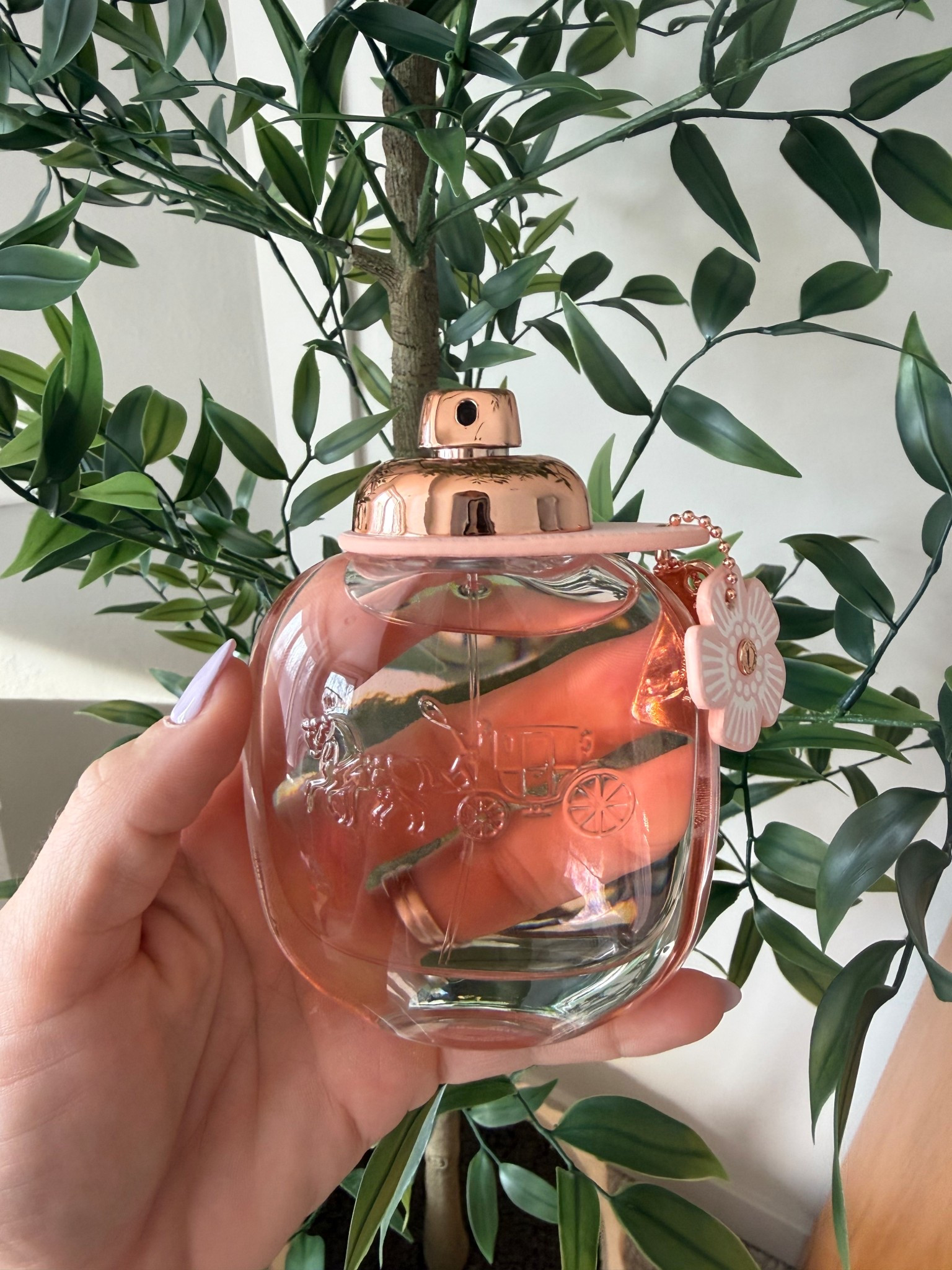 There is just something about a good fragrance that feels like a real gift — like “okay wow, you actually tried.” #WalmartPartner, @Walmart, #Walmart @shop.ltk #liketkit


#LTKmomlife #LTKBeauty #LTKselfcare