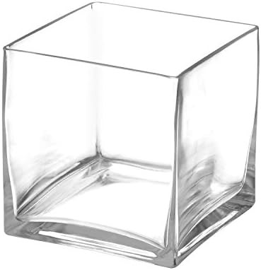 Royal Imports Flower Glass Vase Decorative Centerpiece for Home or Wedding Clear Glass, Cube Shap... | Amazon (US)
