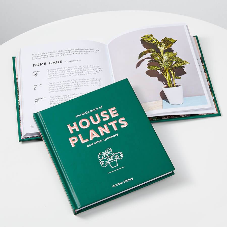 The Little Book of House Plants | plants.com
