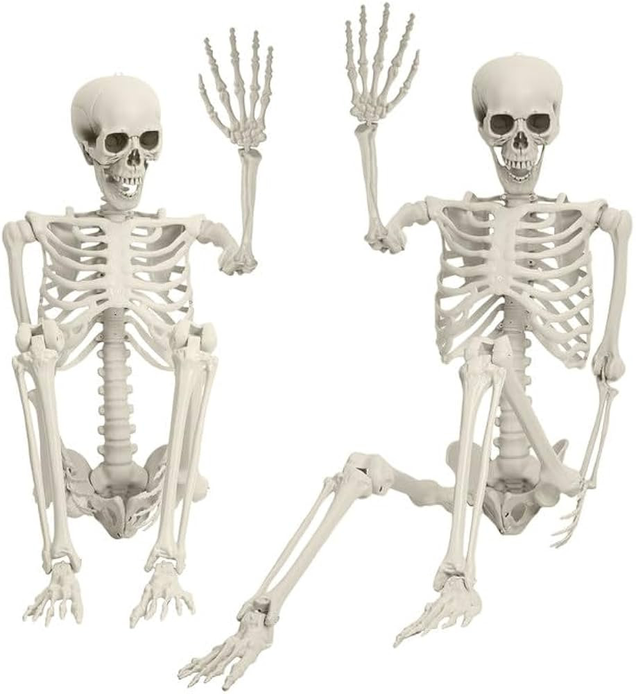 5.4Ft/170cm Posable Halloween Skeleton, Full Body Life Size Skeleton with Movable Joints for Indo... | Amazon (US)