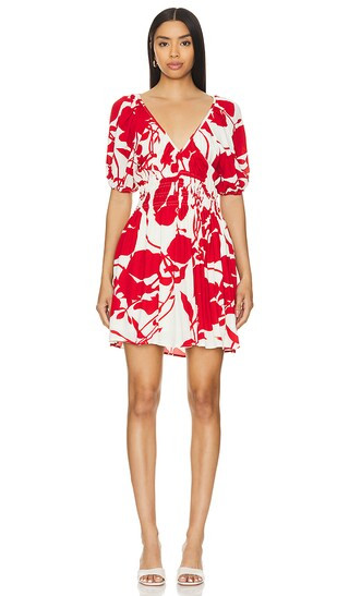 x REVOLVE Salone Mini Dress in Red Floral | Revolve Clothing (Global)