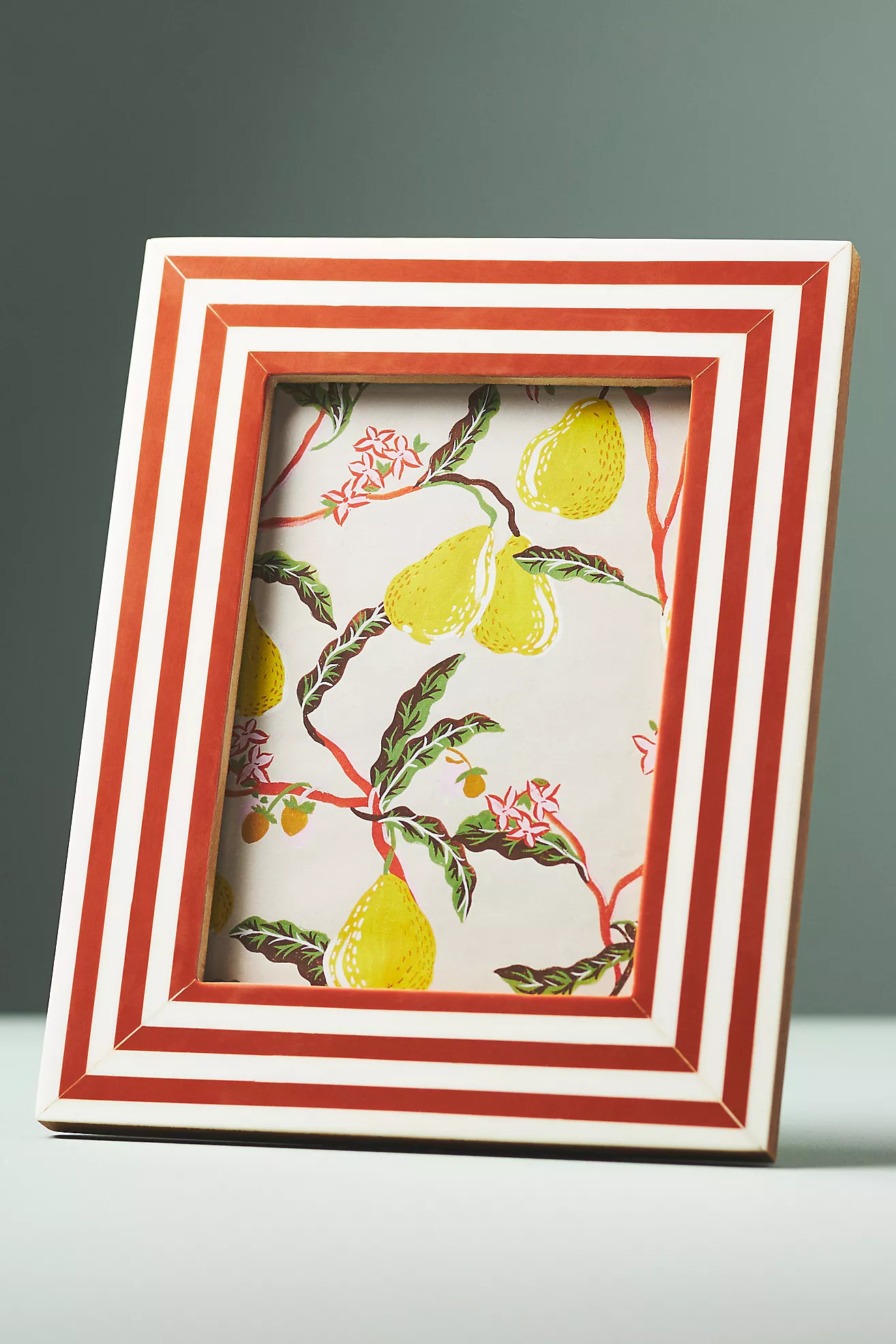 Striped Resin Frame | Anthropologie (US)