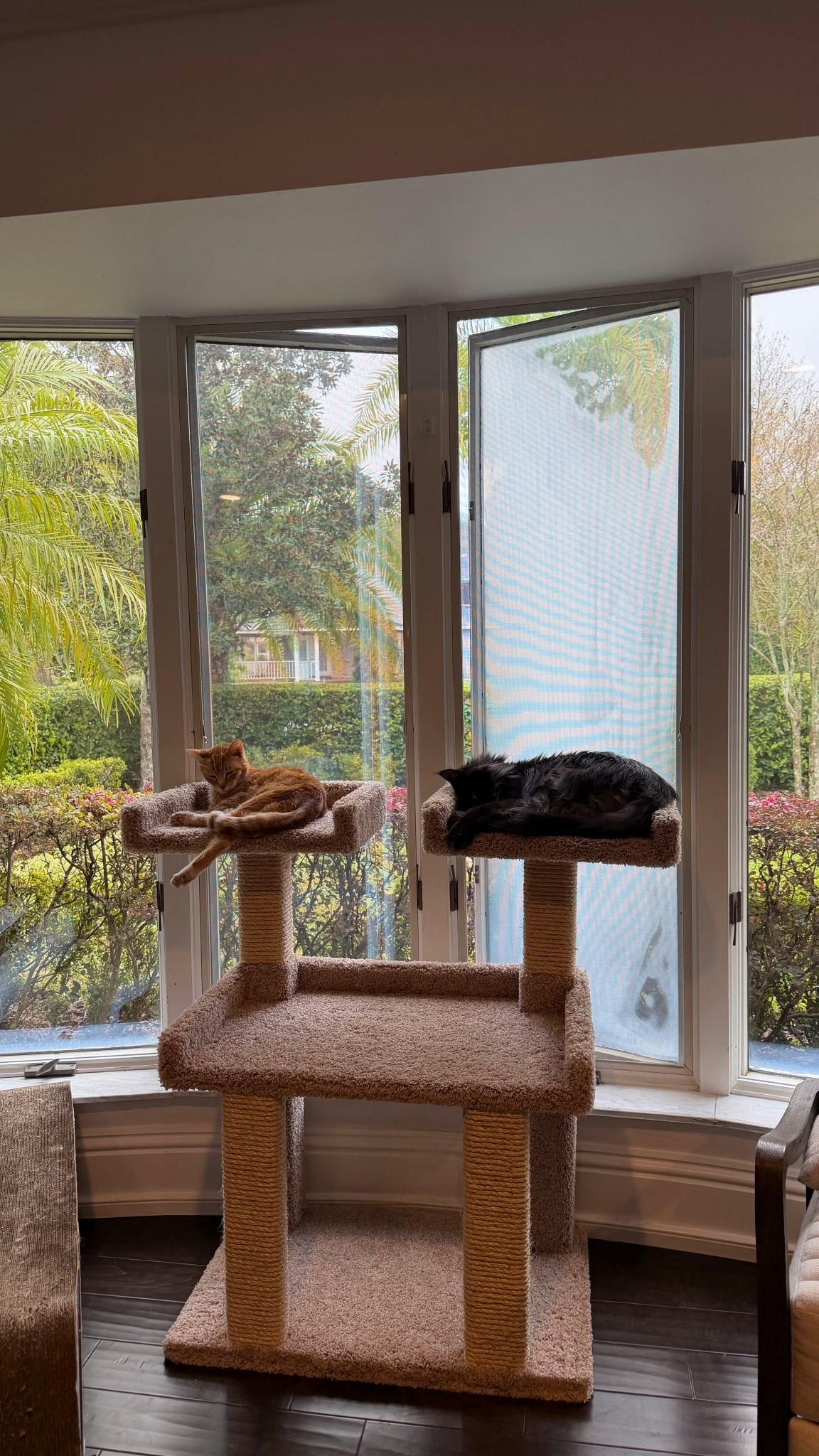 Very well made!! #cats

#LTKHome