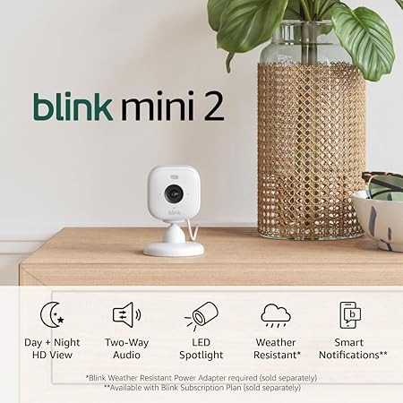 Blink Mini 2 — Home Security & Pet Camera with HD video, color night view, motion detection, tw... | Amazon (US)