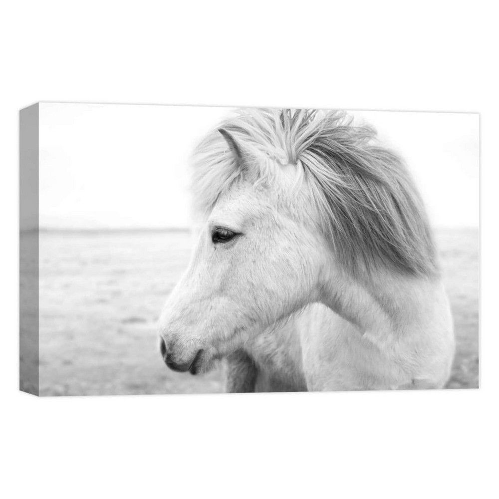 11" x 14" White Horse Decorative Wall Art - PTM Images | Target
