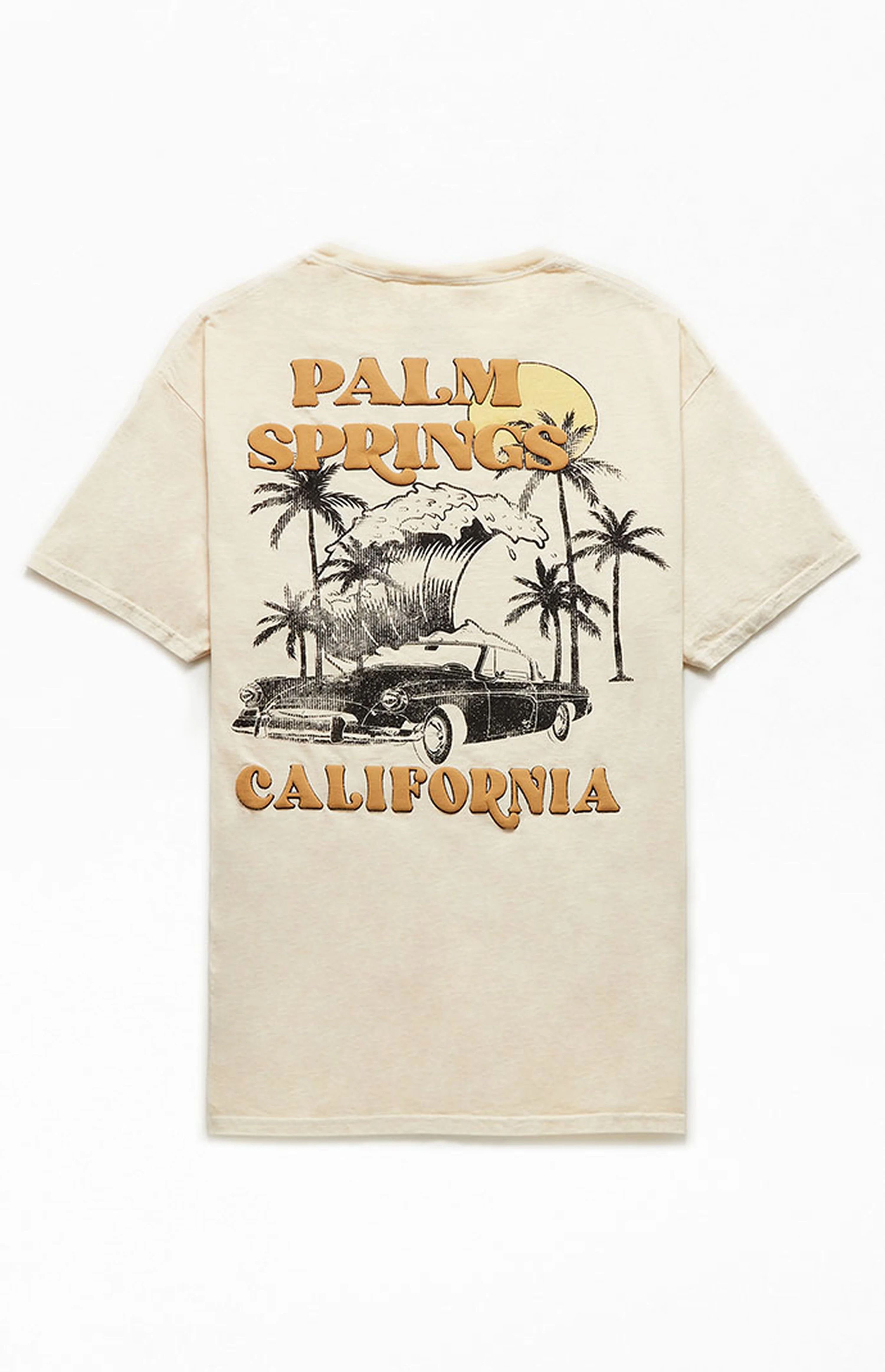 Palm Springs T-Shirt | PacSun