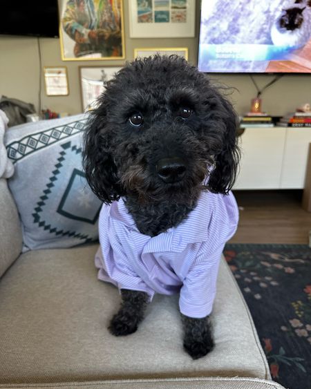 Anytime Jake gets a new shirt in the mail, I put it on Kunu when he asks for a pic. He exclusively wears Peter Millar to work now, I’ve made him bougie and I’m proud 

#LTKmens #LTKActive