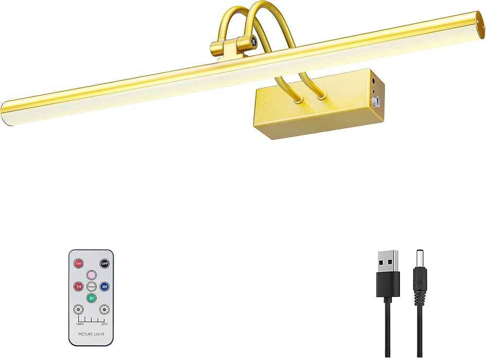 Picture Light,Wireless Art Lights for Paintings,20" Battery Wall Light,Remote Control Accent Ligh... | Amazon (US)