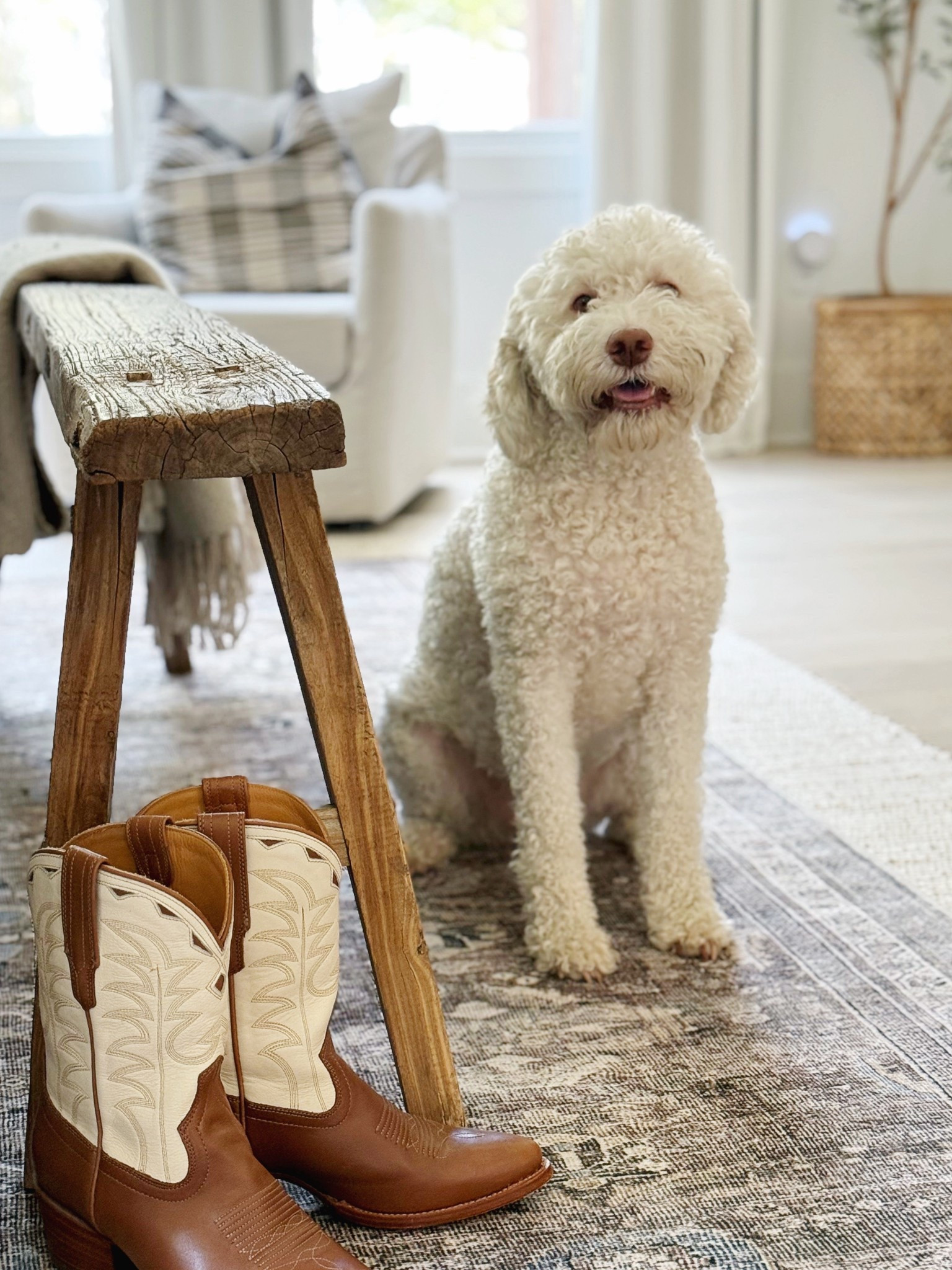 Transforming a space starts from the ground up, and this gorgeous neutral rug from @wayfair instantly pulls my bedroom together. I love how the soft vintage style patterned rug atop adds warmth and texture while still keeping things modern and classic 🤍 Even our pup approves! 🐾

I’m rounding up all of my favorite affordable Wayfair rugs throughout our home — every single one is linked below for you to shop. The best part? These 8x10 rugs are all under $260, making it easy to refresh any space on a budget without sacrificing style. 🫶🏻 The muted colors are also the perfect way to usher in the Fall 🍂

#wayfairpartner #wayfair #porcheandco #neutralrug #modernrug #affordablerug #livingroomdecor #homedesign

#LTKStyleTip #LTKSaleAlert #LTKHome