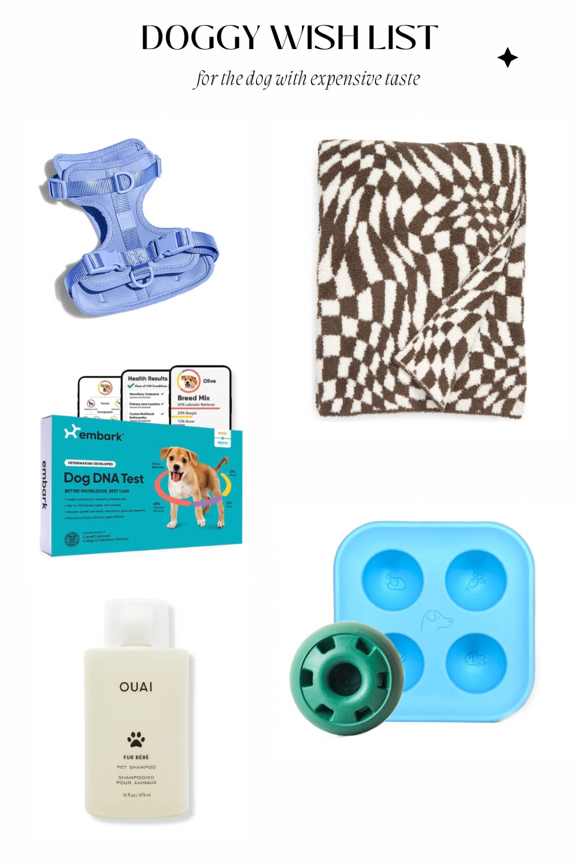 dog wish list - for the dog with expensive taste 🤑

#LTKfamily #LTKGiftGuide #LTKFind