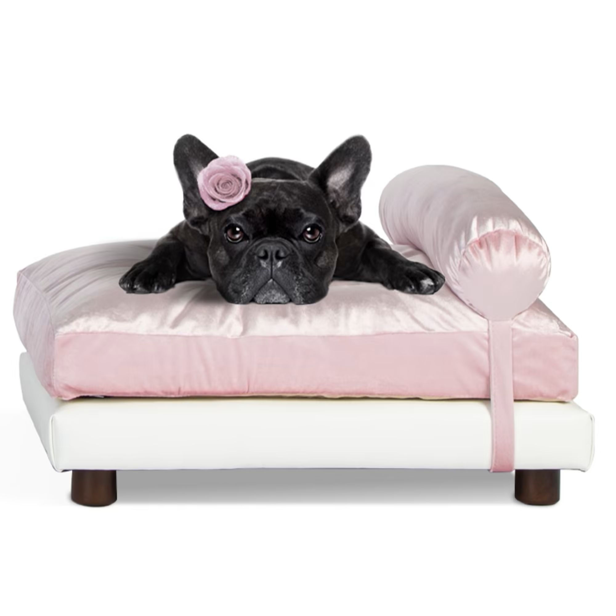 Club Nine Pets Pink Milo Orthopedic Dog Bed, 20" L X 26" W | Petco