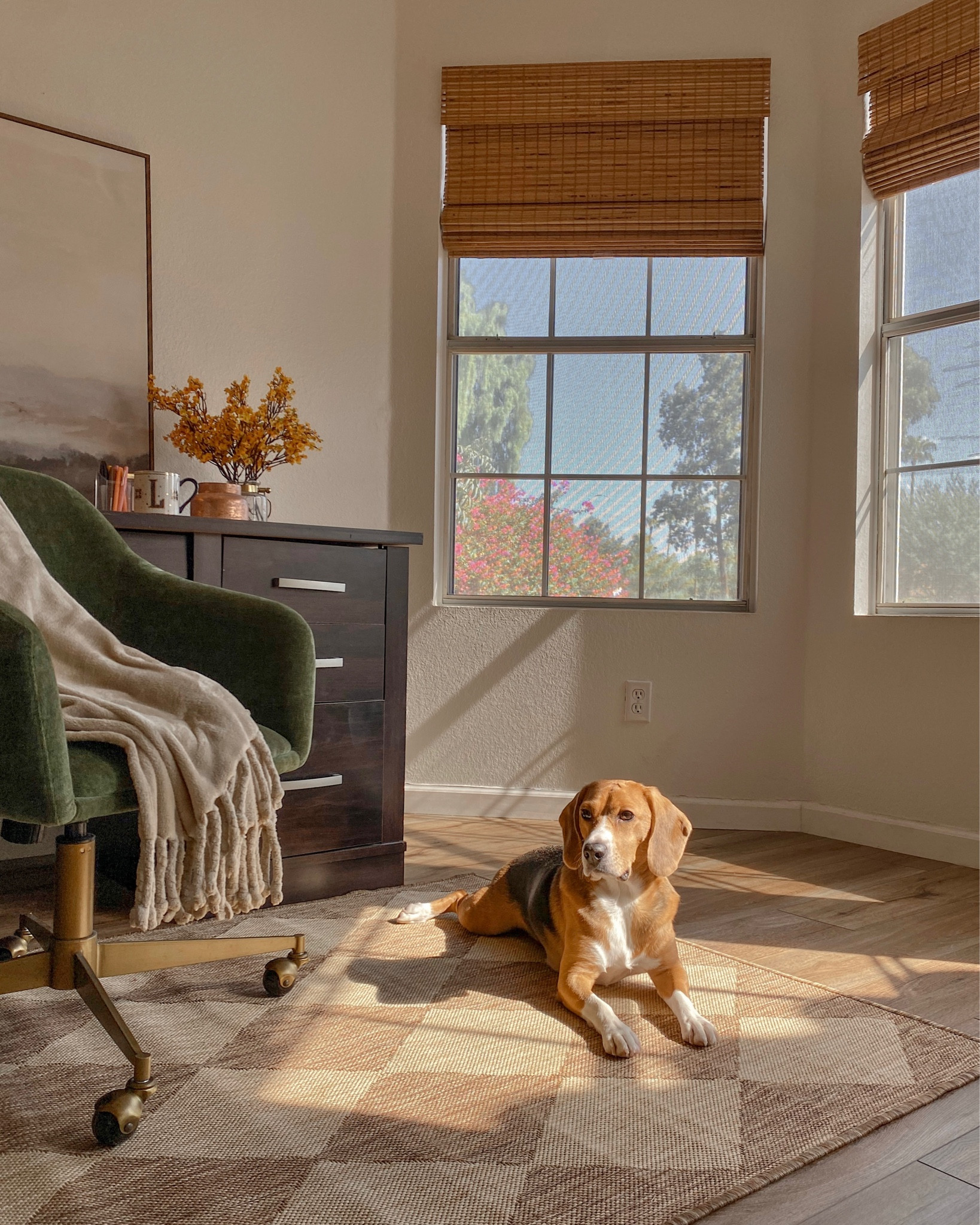 Home office. Home decor. Fall decor. Checkered area rug. 

#LTKstyletip #LTKSeasonal #LTKhome