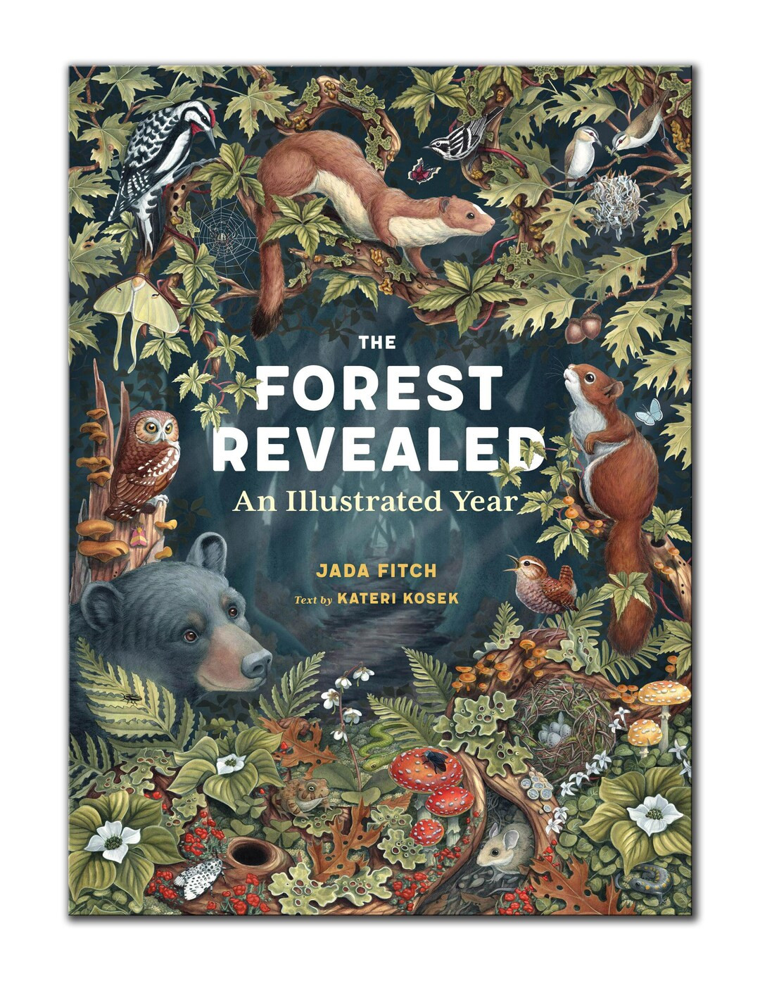 The Forest Revealed: an Illustrated Year, Signed Copy - Etsy | Etsy (US)