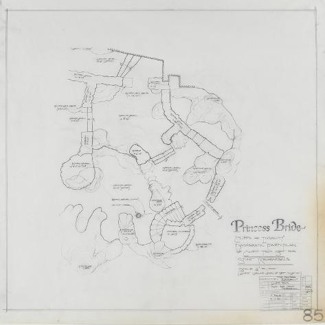 Art Print: Art Print: Princess Bride Art Print, 12x12in. | Allposters.com