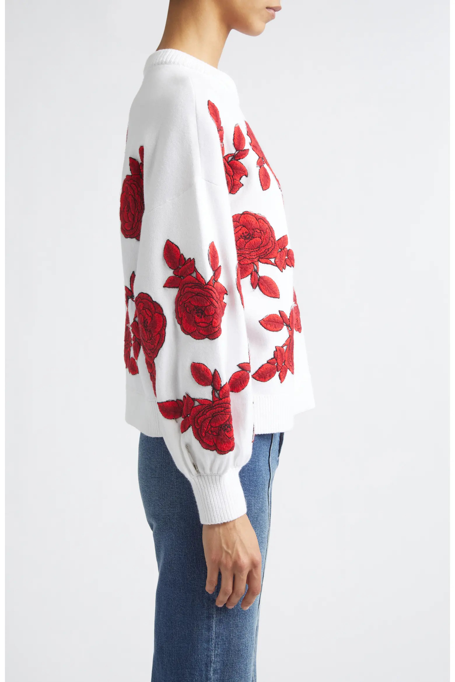 Carwen Embroidered Balloon Sleeve Sweater (Women) | Nordstrom | Nordstrom