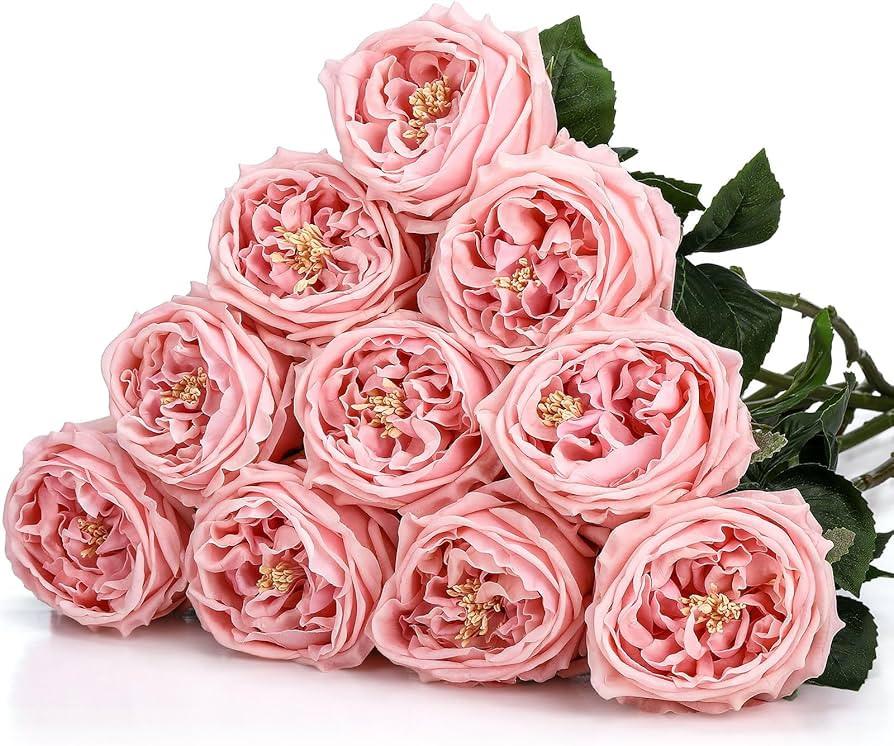10pcs Real Touch Peonies Artificial Flowers, Faux Austin Rose with Long Stem Look Real Fake Flowe... | Amazon (US)