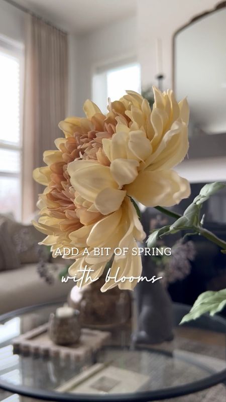 All it takes is a couple blooms to make an airy late winter floral arrangement look more springy on your coffee table  These Target stems are so gorgeous and only $5 each!

#LTKSeasonal #LTKhome #LTKfindsunder50