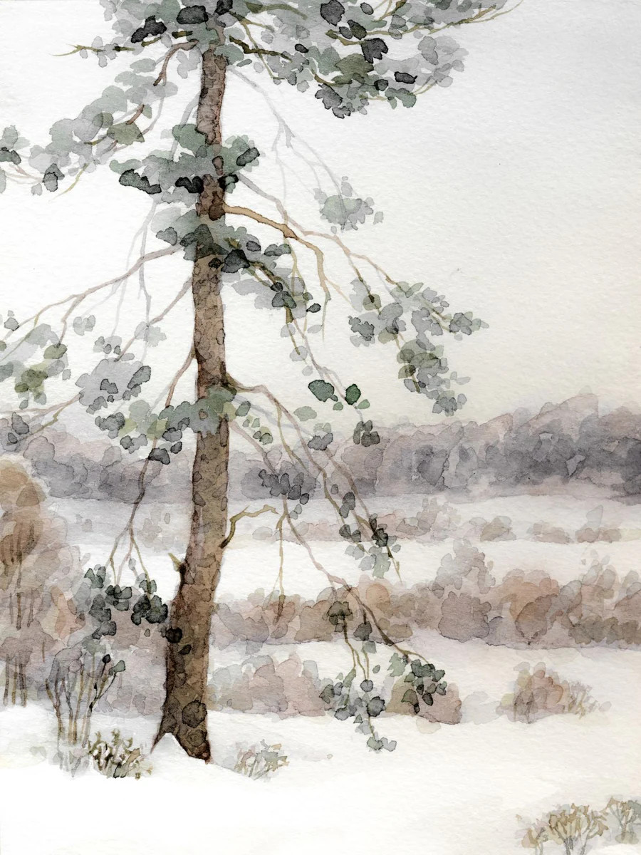 Watercolor Winter | Collection Prints