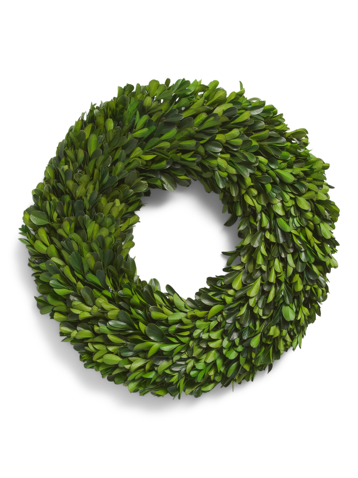 12in Real Preserved Boxwood Wreath | Plants & Planters | Marshalls | Marshalls