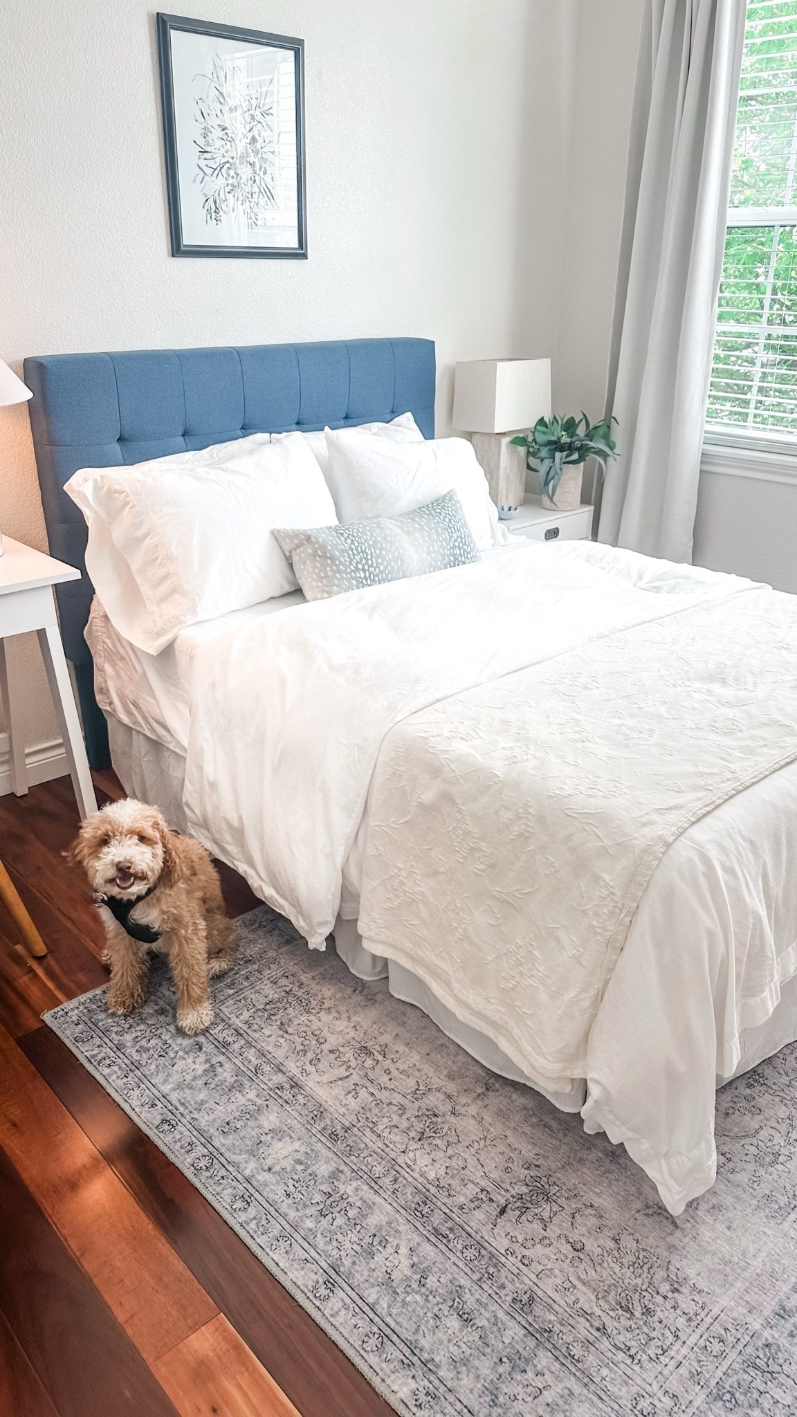 Updated my summer bedding with this gorgeous coverlet from @Bella Maison USA. It’s 100% cotton with a lace trim and jacquard weave and is currently 70% off! ☀️

#LTKHome #LTKSaleAlert