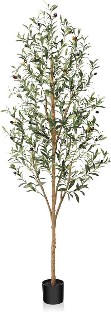 OAKRED Artificial Olive Tree 6ft, Lush Faux Olive Tree for Indoor with Natural Wood Trunk and Lif... | Amazon (CA)