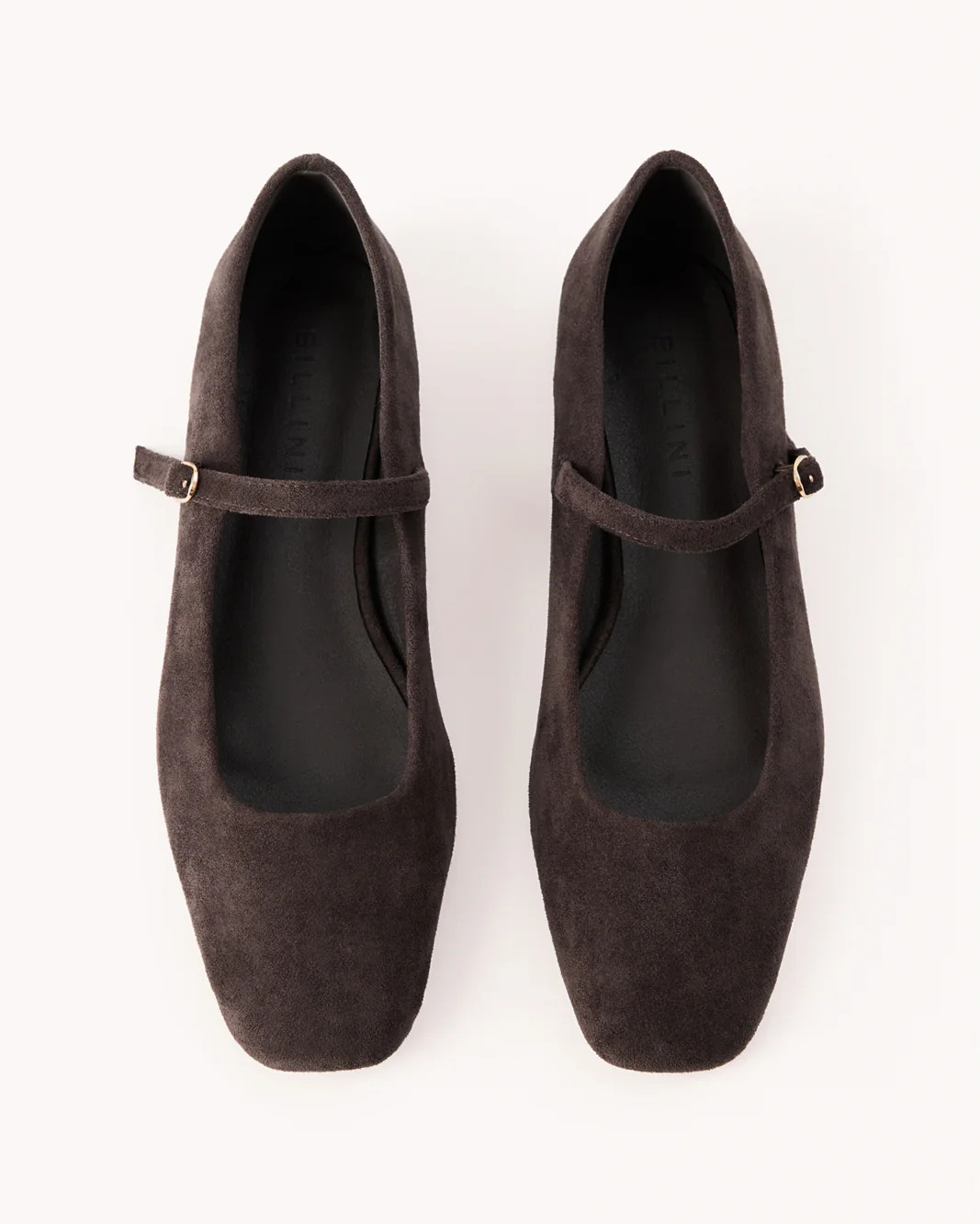 FION - DARK CACAO SUEDE - Flats - Billini | Billini (ANZ)
