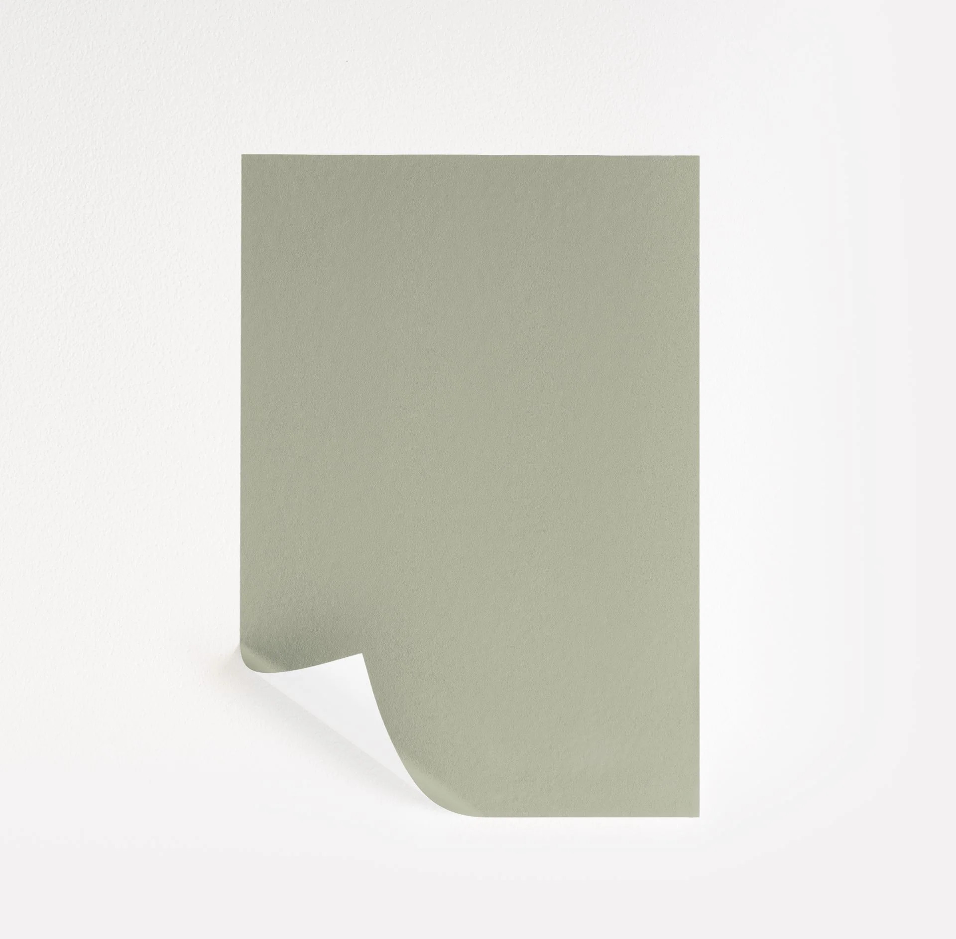 Softened Green  Paint Sample | Samplize