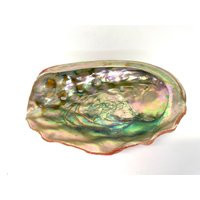 Vintage Abalone Shell Specimen Mother Of Pearl Shiny | Etsy (US)