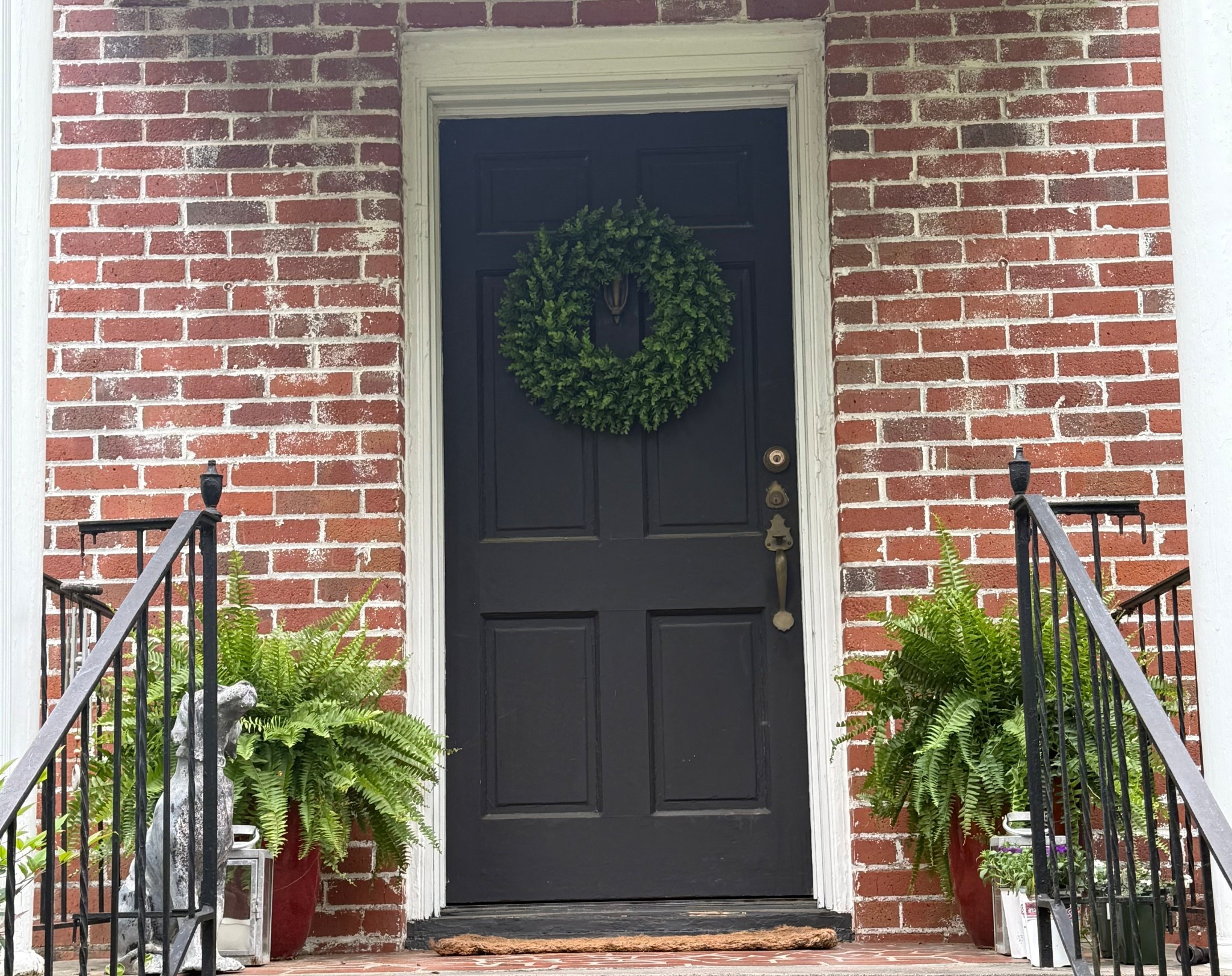 Just got these ferns on Friday. So impressed with the packaging and the quality of the plants! So healthy and vibrant right out of the box✅ - highly recommend!!! 

#LTKdayinmylife #LTKHome #LTKMothersDay
