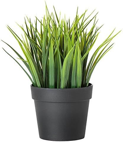 Ikea Artificial Potted Plant, Wheat Grass, 7.75 Inch | Amazon (US)