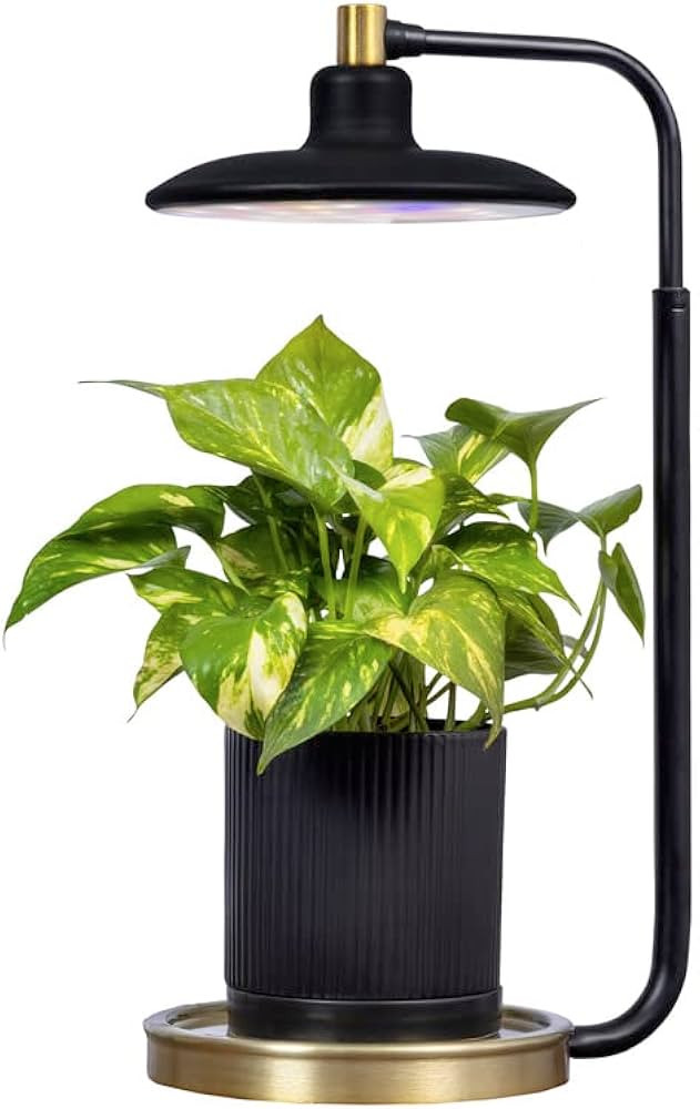 AeroGarden Tabletop Grow Light for Indoor Plants, Grow Live Plants Anywhere in The Home, Adjustab... | Amazon (US)