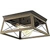 Progress Lighting P350039-020 Briarwood Antique Bronze Two-Light Flush Mount | Amazon (US)