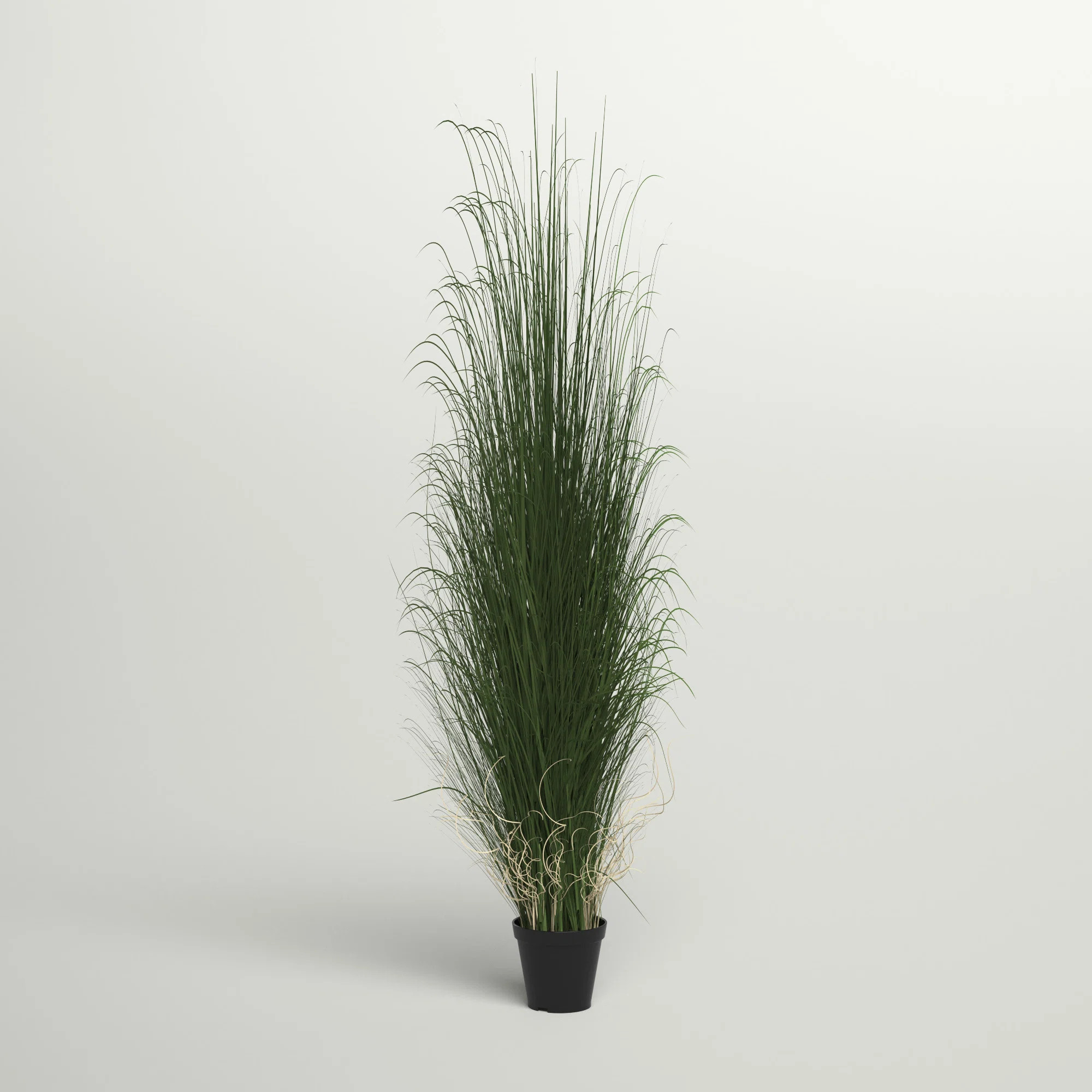 Sand & Stable™ PVC Artificial Potted Green Curled Grass & Reviews - Wayfair Canada | Wayfair North America