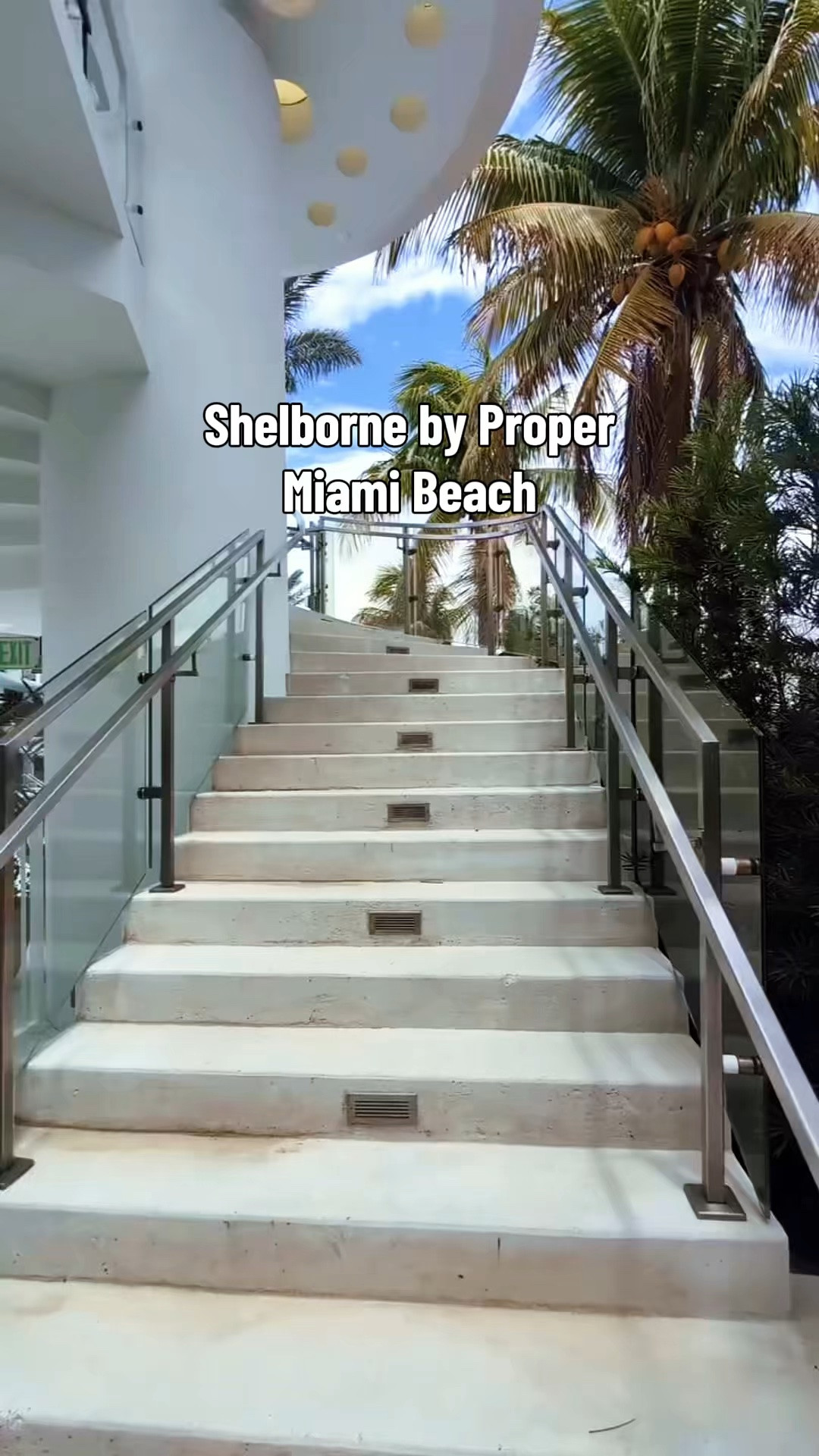Shelborne by Proper Miami Beach ✨ Mint umbrellas, turquoise pools, Art Deco details, oceanfront beach setups, and the Summer Fridays Miami Beach Club Pop Up introducing their new SPF packaging made this entire stay feel like a luxury summer editorial. Linking the designer beach bags and resort accessories that perfectly match the Shelborne aesthetic — from Chanel beach totes and Louis Vuitton carryalls to Hermès summer bags, oversized sunglasses, luxury sandals, and Miami Beach vacation essentials inspired by this exact stay.

Nirvana the Shih Tzu 💋 Nirvana Approved

#LTKgrwm #LTKdayinmylife #LTKTravel