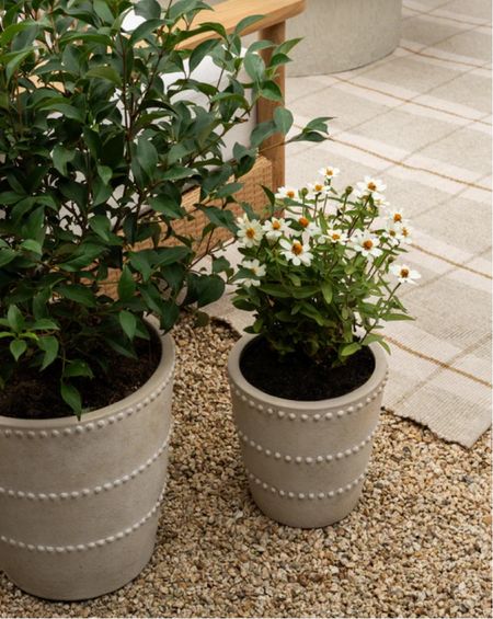 McGee & Co. Planters

#LTKHome #LTKStyleTip #LTKFindsUnder50