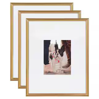 Adlynn 16 in. x 20 in. matted to 8 in. x10 in. Gold Picture Frames (Set of 3) | The Home Depot