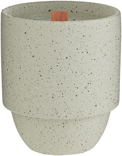 Paddywax Candles - PK1107 National Parks Collection Scented Candle, 11-Ounce, Olympics - Pacific Mos | Amazon (US)