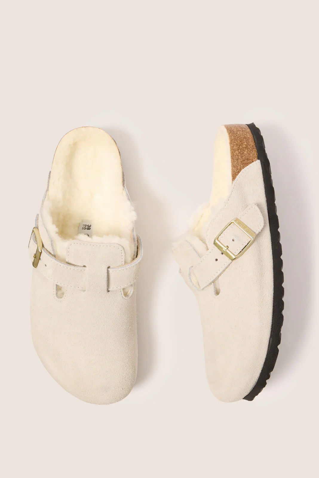 Boston Shearling | Evereve