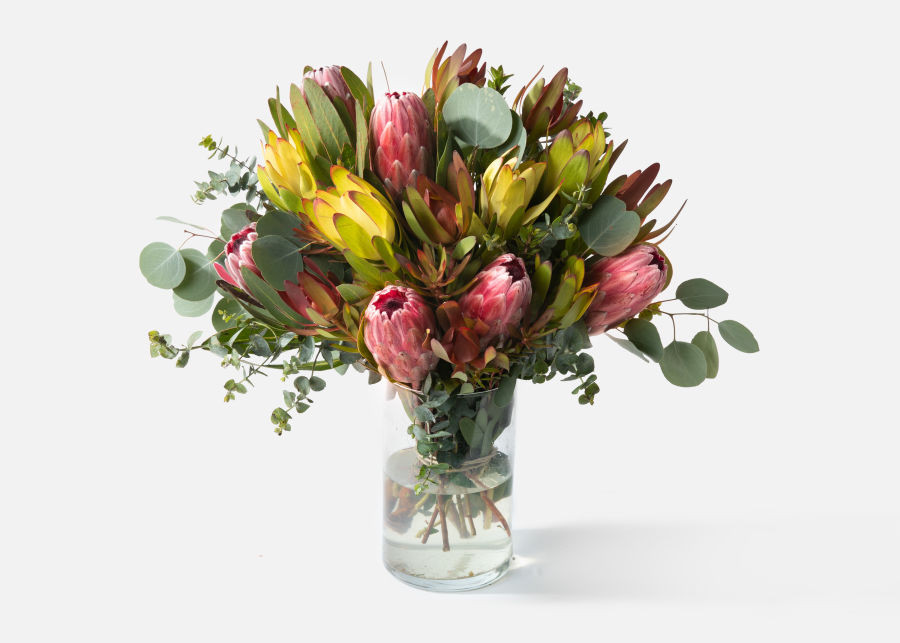 Double The Catalina | UrbanStems