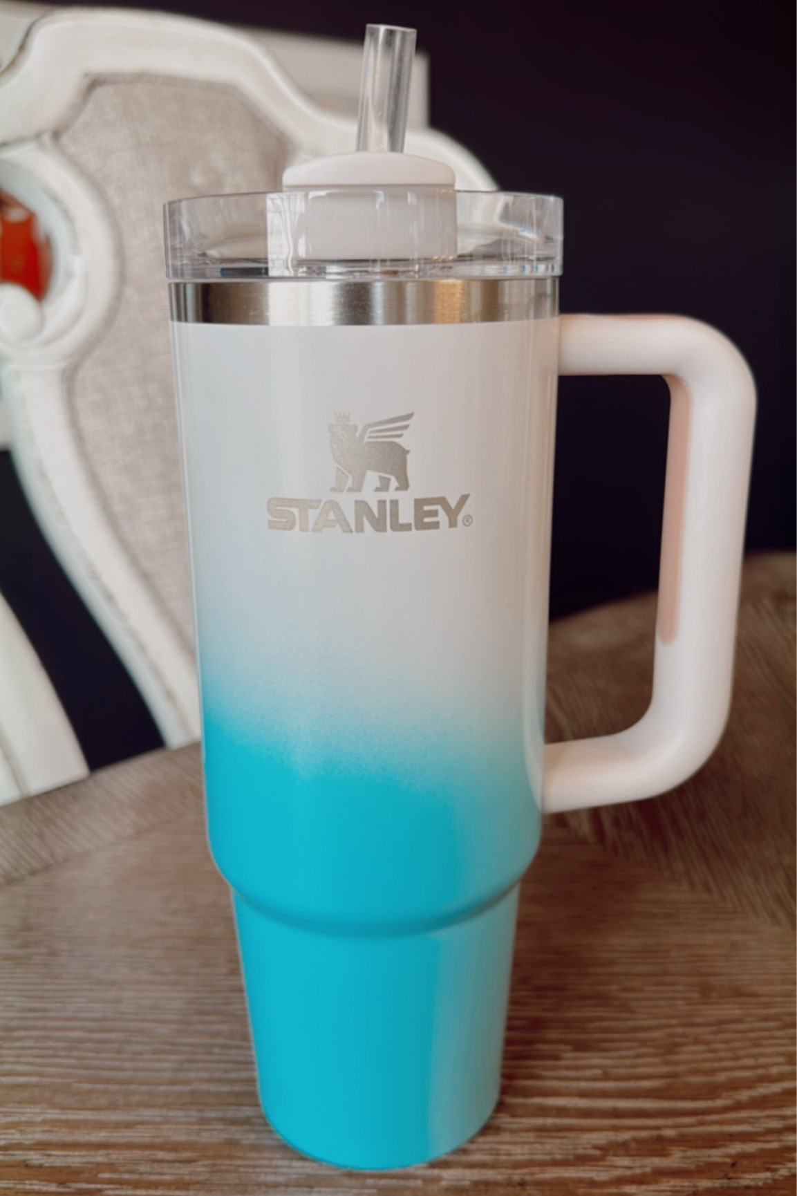 I’m slightly obsessed with this pool version of the Stanley! I got this one to take on the few beachy/warm weathered trips we have coming up! One of the best travel hacks is bringing this with your personal item on the plane! 🌊

#LTKfit #LTKtravel #LTKunder50