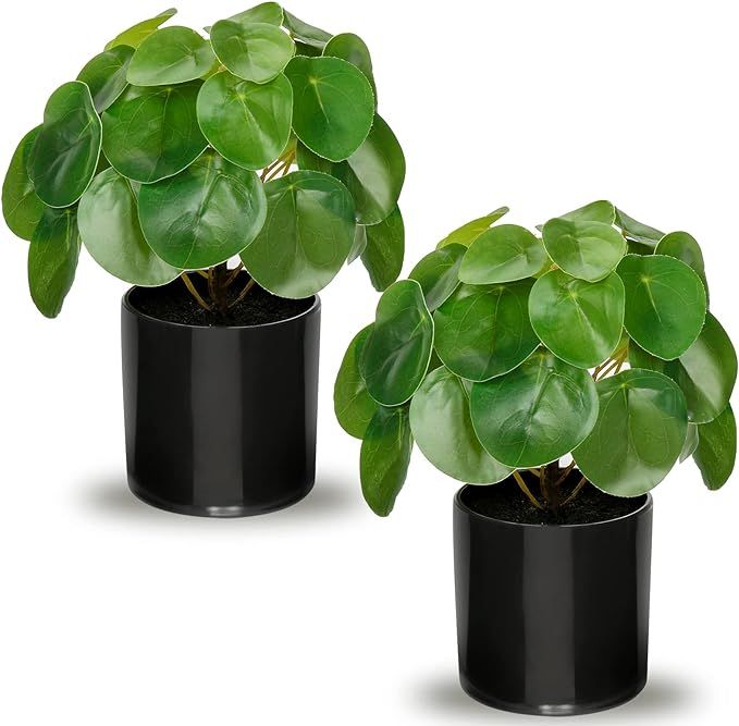 2Pcs Small Artificial Potted Plant Small Fake Chinese Money Plant - Pilea Peperomioides Indoor Pl... | Amazon (US)