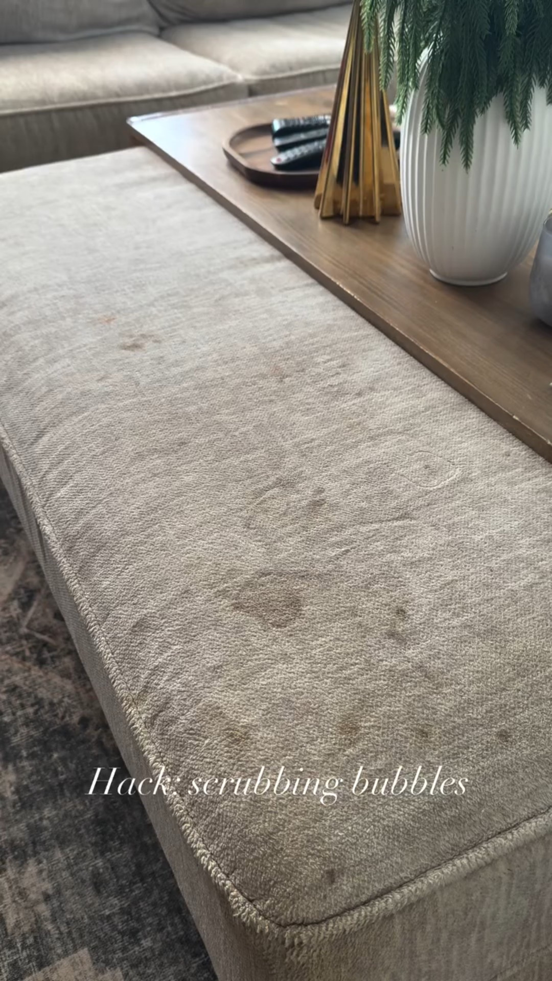 Couches are great & all .. but kids & dogs have zero respect for them 🫣

Make my couch like new with me using scrubbing bubbles & my life saver: the Bissell little green, max pet 

#couchcleaning #fyp #cleanhacks #viral #trending